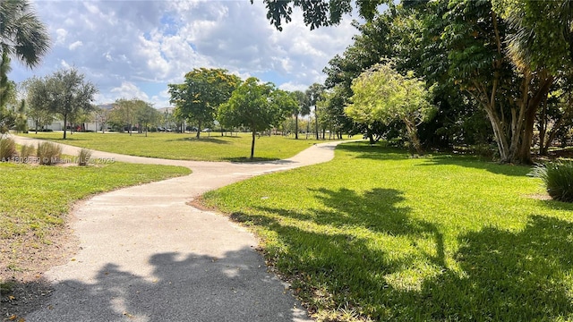 4330 Hillcrest Dr Unit 505, Hollywood, FL 33021 - surrounding community with a yard