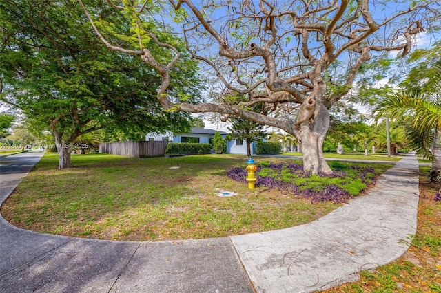 1998 NE 180th St, North Miami Beach, FL 33162 - property entrance featuring a yard and stucco siding