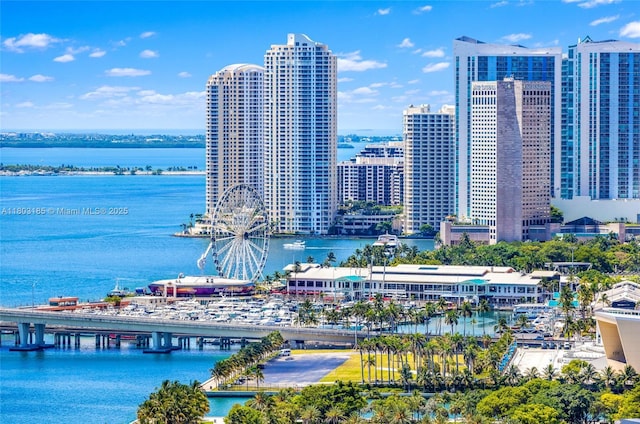 1750 N Bayshore Dr Unit 3308, Miami, FL 33132 - view of urban area featuring a nearby body of water and a notable bridge