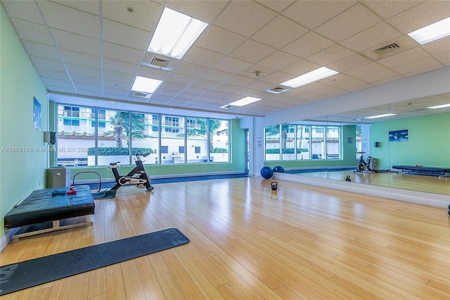 1750 N Bayshore Dr Unit 3308, Miami, FL 33132 - gym with hardwood / wood-style flooring, a paneled ceiling, and baseboards