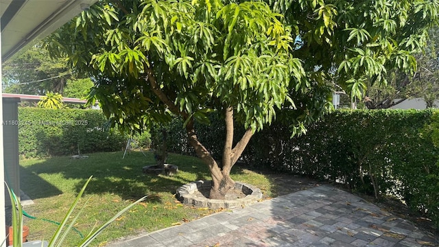 111 SW 24th Ave, Miami, FL 33135 - view of green lawn with a patio area