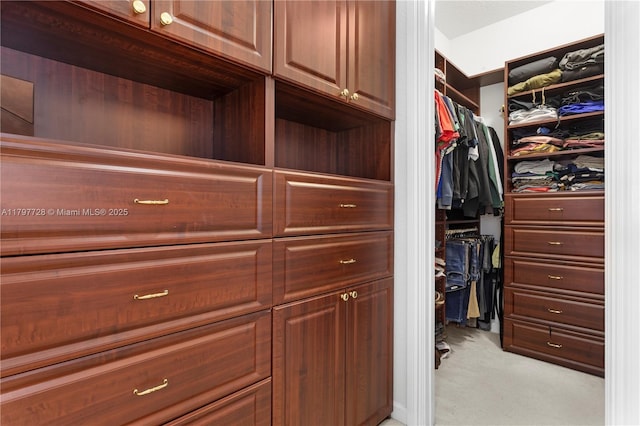 3837 E Coquina Way, Weston, FL 33332 - spacious closet with light carpet