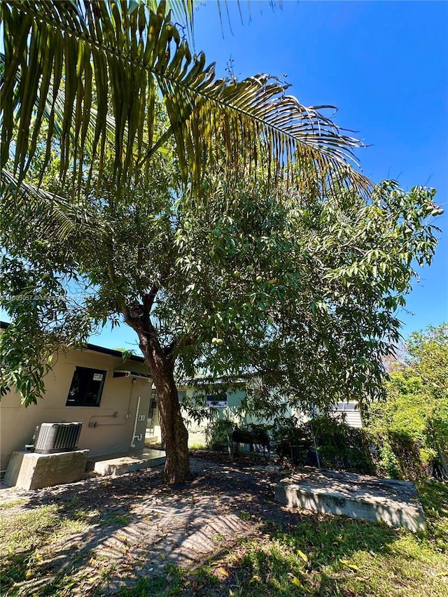 1769 NW 41st St, Miami, FL 33142 - view of yard
