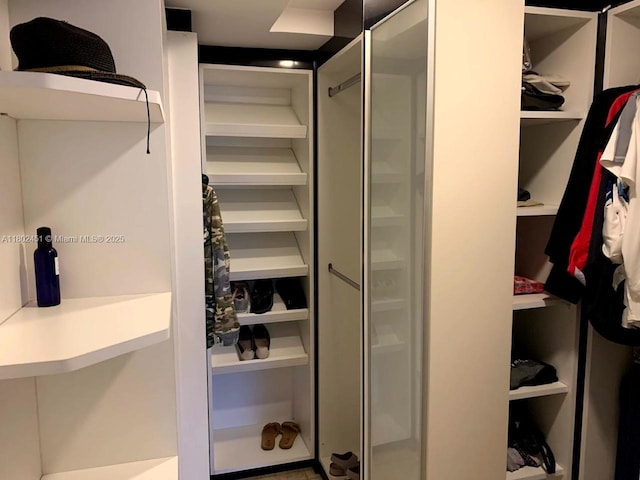 100 Bayview Dr Unit 309, Sunny Isles Beach, FL 33160 - view of spacious closet