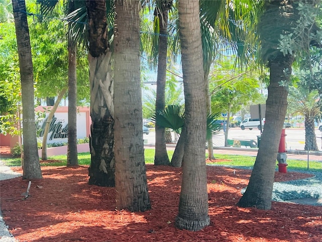 5225 Collins Ave Unit 914, Miami Beach, FL 33140 - photo 51