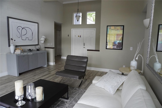 1132 Cedar Falls Dr, Weston, FL 33327 - living area with a high ceiling, wood finished floors, and radiator