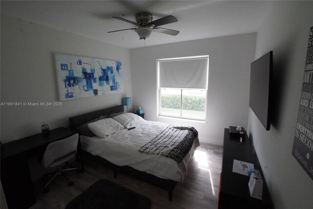 1132 Cedar Falls Dr, Weston, FL 33327 - bedroom featuring wood finished floors and a ceiling fan