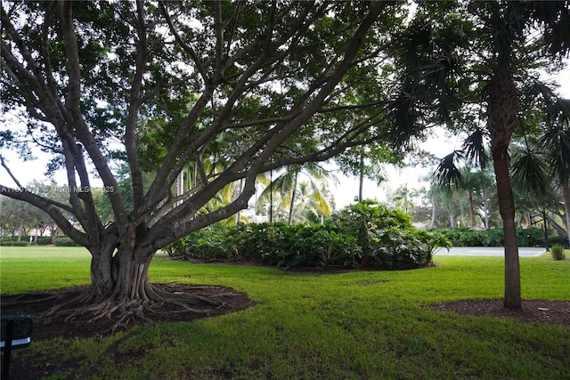 1132 Cedar Falls Dr, Weston, FL 33327 - view of green lawn
