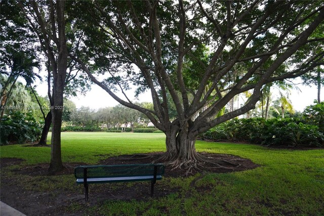 1132 Cedar Falls Dr, Weston, FL 33327 - surrounding community with a lawn