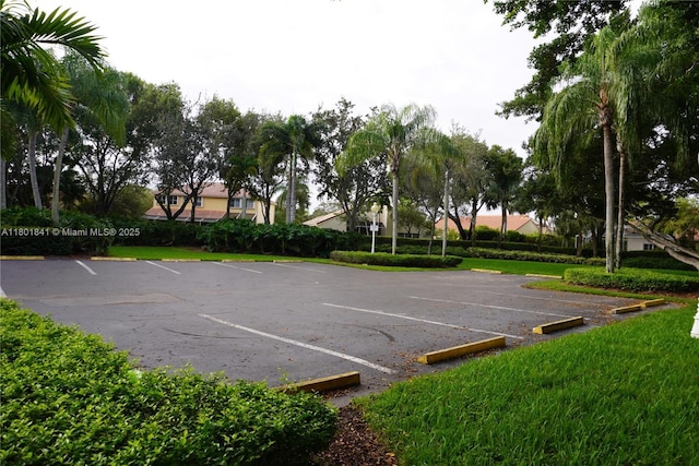 1132 Cedar Falls Dr, Weston, FL 33327 - view of uncovered parking lot