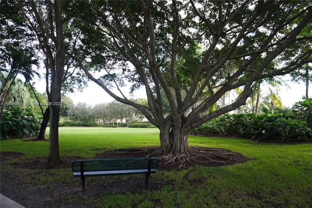 1132 Cedar Falls Dr, Weston, FL 33327 - view of property's community featuring a yard