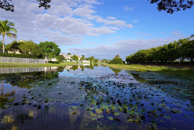 1132 Cedar Falls Dr, Weston, FL 33327 - water view