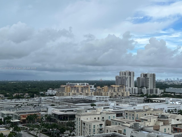 9066 SW 73rd Ct Unit 1703, Miami, FL 33156 - view of city