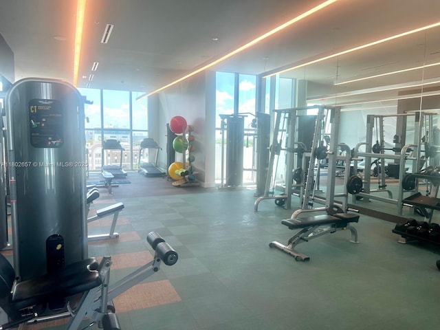 3900 Biscayne Blvd Unit N-819, Miami, FL 33137 - gym with expansive windows