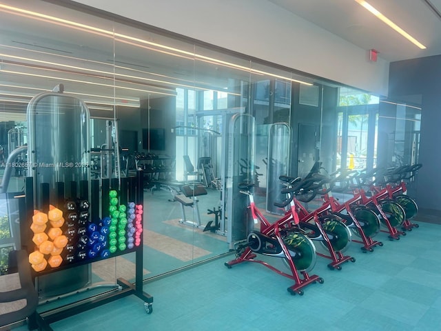 3900 Biscayne Blvd Unit N-819, Miami, FL 33137 - gym featuring plenty of natural light