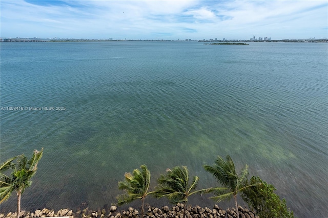 700 NE 26th Ter Unit 903, Miami, FL 33137 - water view