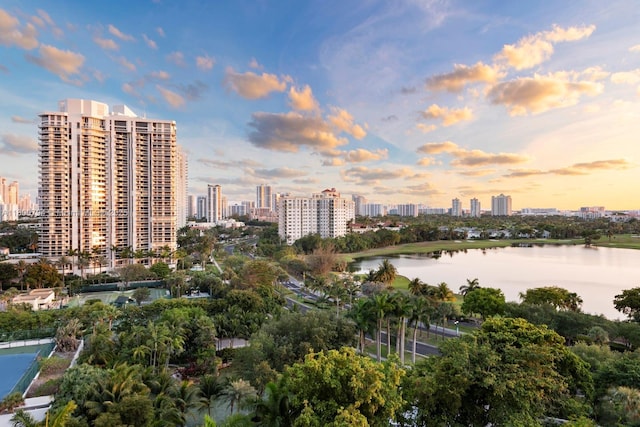 20281 E Country Club Dr Unit 1009, Aventura, FL 33180 - photo 38