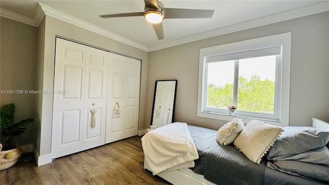 1192 Chinaberry Dr, Weston, FL 33327 - bedroom featuring wood finished floors, a closet, crown molding, and ceiling fan