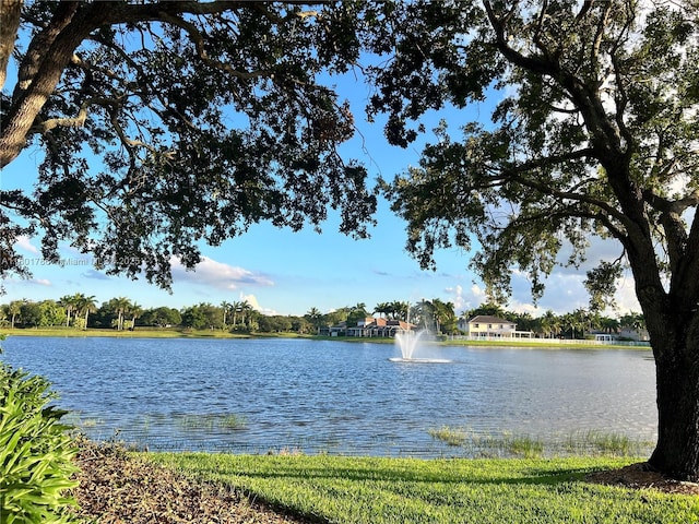 1192 Chinaberry Dr, Weston, FL 33327 - water view