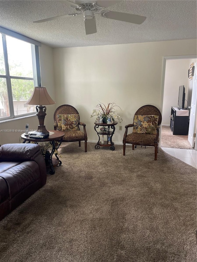 9330 Lime Bay Blvd Unit 315, Tamarac, FL 33321 - living area featuring light carpet, ceiling fan, and a textured ceiling