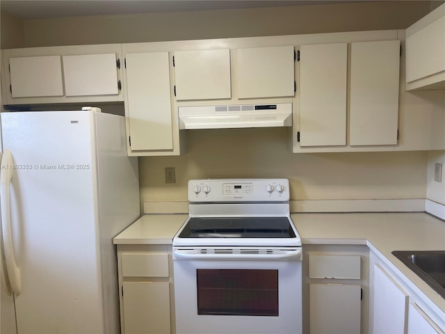 1124 NW 106th Ter Unit 202, Pembroke Pines, FL 33026 - kitchen with white appliances, under cabinet range hood, light countertops, and a sink