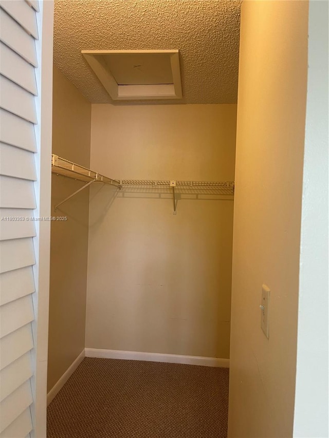 1124 NW 106th Ter Unit 202, Pembroke Pines, FL 33026 - spacious closet featuring carpet floors and attic access