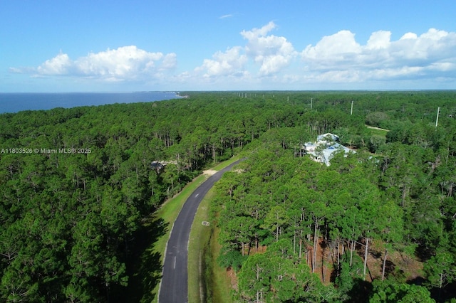 315 Gramercy Plantation Blvd, Eastpoint, FL 32328 - photo 2