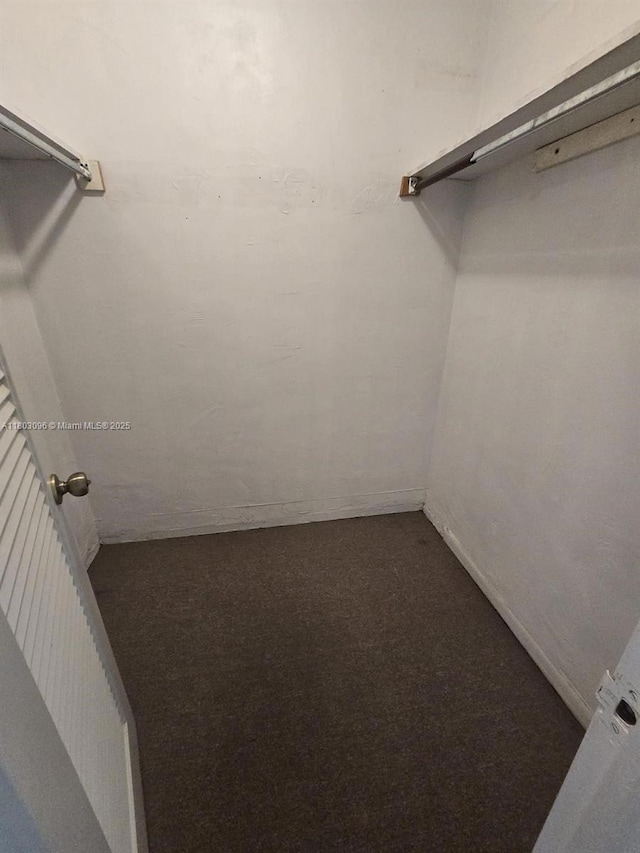 1201 NE 191st St Unit G211, Miami, FL 33179 - walk in closet featuring carpet