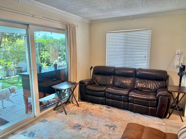 11360 NW 31st St, Sunrise, FL 33323 - living area featuring a textured ceiling and crown molding