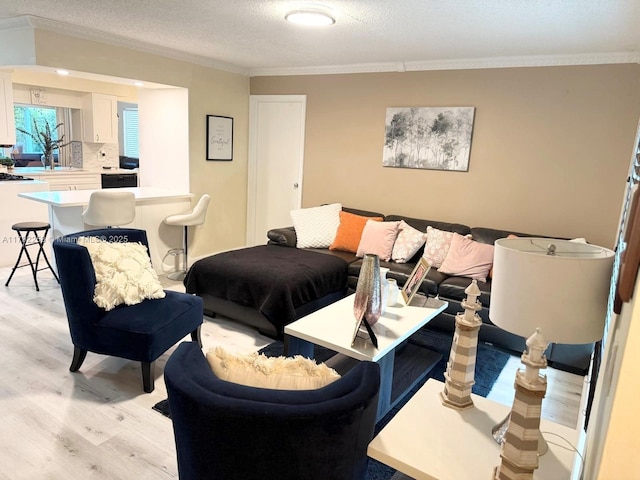 11360 NW 31st St, Sunrise, FL 33323 - living room with light wood-style floors, crown molding, and a textured ceiling