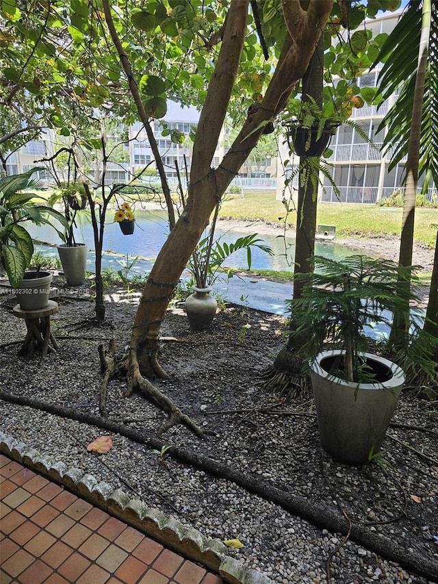 1670 NE 191st St Unit 109-3, Miami, FL 33179 - view of yard