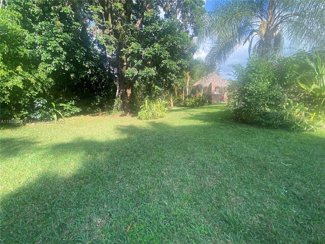 2180 SW 115th Ter, Davie, FL 33325 - view of green lawn