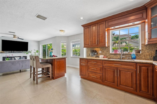 2238 NW 139th Ave, Sunrise, FL 33323 - kitchen with a sink, tasteful backsplash, brown cabinets, baseboards, and light stone counters