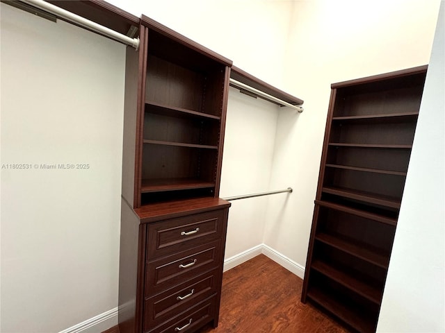 12490 NW 33rd St, Sunrise, FL 33323 - walk in closet with dark wood-style floors