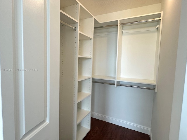 12490 NW 33rd St, Sunrise, FL 33323 - walk in closet with dark wood-style floors