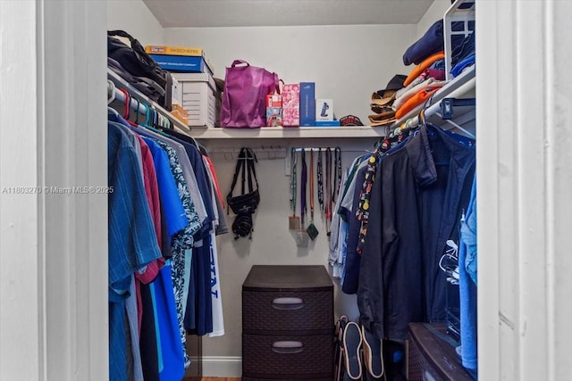 9750 SW 143rd Dr, Miami, FL 33176 - view of walk in closet