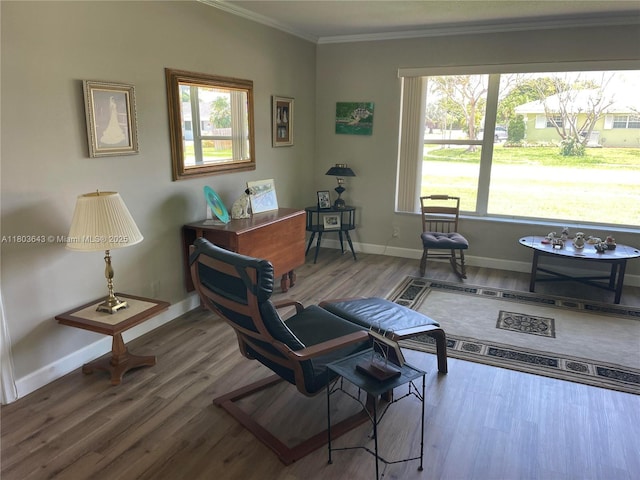 1101 SW 75th Ter, Plantation, FL 33317 - living area with ornamental molding, wood finished floors, and plenty of natural light
