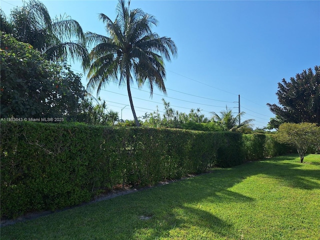 1101 SW 75th Ter, Plantation, FL 33317 - view of green lawn