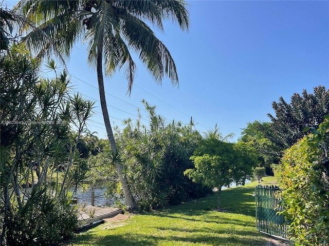 1101 SW 75th Ter, Plantation, FL 33317 - view of yard