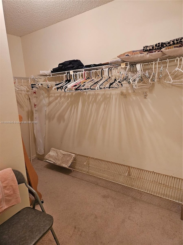 1301 Sabal Ridge Cir Unit G, Palm Beach Gardens, FL 33418 - walk in closet featuring carpet floors
