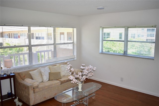 9121 Sunrise Lakes Blvd Unit 201, Sunrise, FL 33322 - living room featuring wood finished floors, healthy amount of natural light, and baseboards