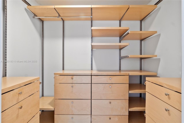 6886 N Kendall Dr Unit D207, Pinecrest, FL 33156 - view of walk in closet