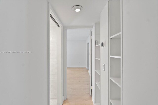 6886 N Kendall Dr Unit D207, Pinecrest, FL 33156 - hall featuring light wood-style flooring and baseboards
