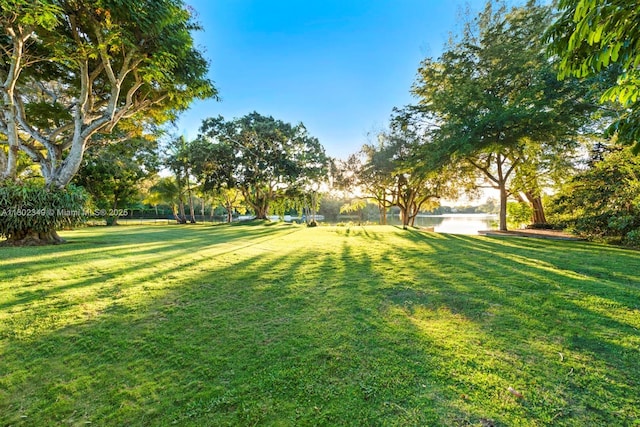 9000 School House Rd, Coral Gables, FL 33156 - photo 1