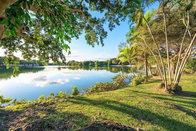 9000 School House Rd, Coral Gables, FL 33156 - photo 2