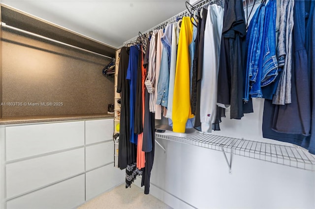 200 Biscayne Boulevard Way Unit 4005, Miami, FL 33131 - view of spacious closet