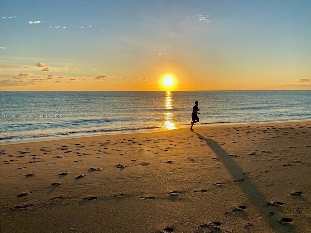 1000 Parkview Dr Unit 424, Hallandale Beach, FL 33009 - water view featuring local beach