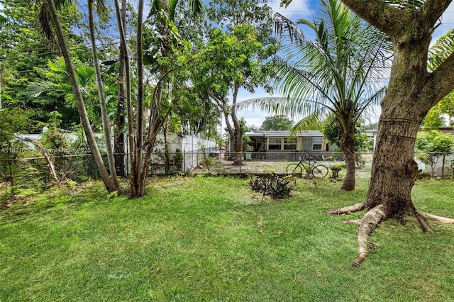 19735 NE 12th Ave, Miami, FL 33179 - view of yard