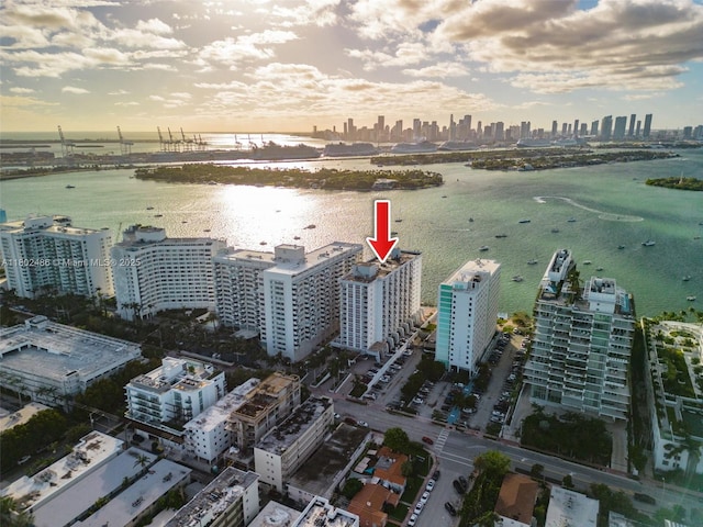 1228 W Ave Unit 704, Miami Beach, FL 33139 - drone / aerial view of a skyline view and a large body of water