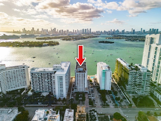 1228 W Ave Unit 704, Miami Beach, FL 33139 - drone / aerial view of a view of skyline and a large body of water